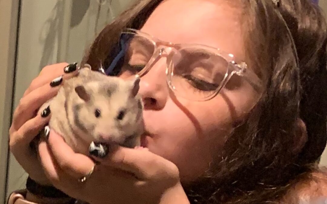 Buddy
